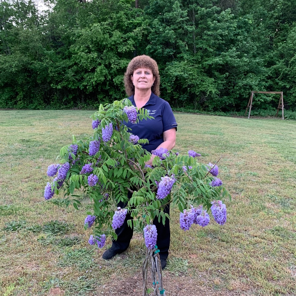 Meet your Posher, Cynthia